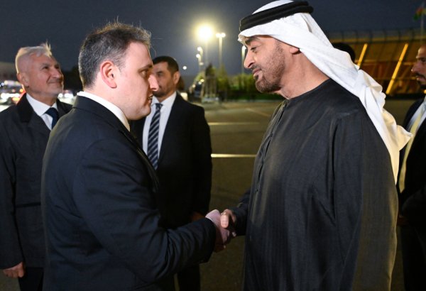 President of UAE visits Azerbaijan to participate in COP29