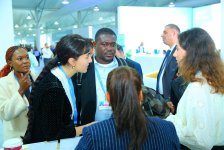 Azerbaijan's "Ecosphere" eco-social center presents its programs at COP29 (PHOTO)