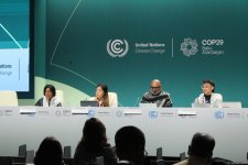 COP29 hosts “Global Campaign to Demand Climate Justice” panel discussion (PHOTO)