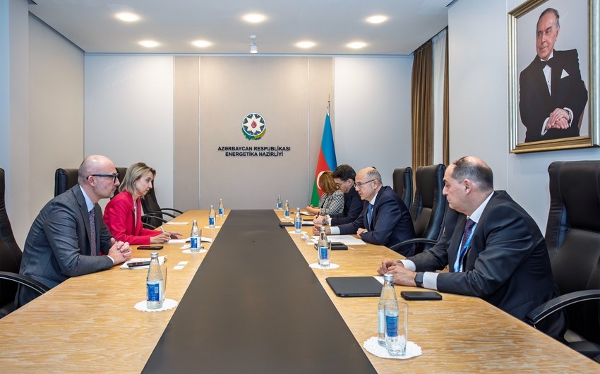 EIB keen to partner with Azerbaijan on green energy - energy minister