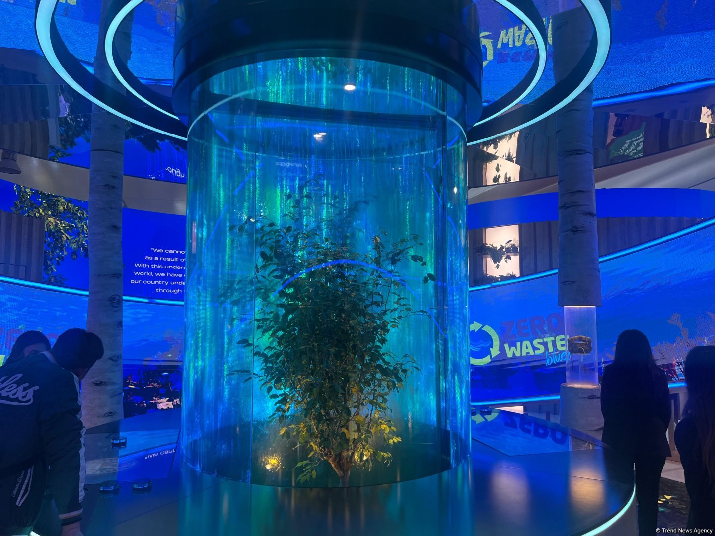 Türkiye's pavilion opening ceremony takes place at COP29 in Azerbaijan (PHOTO)