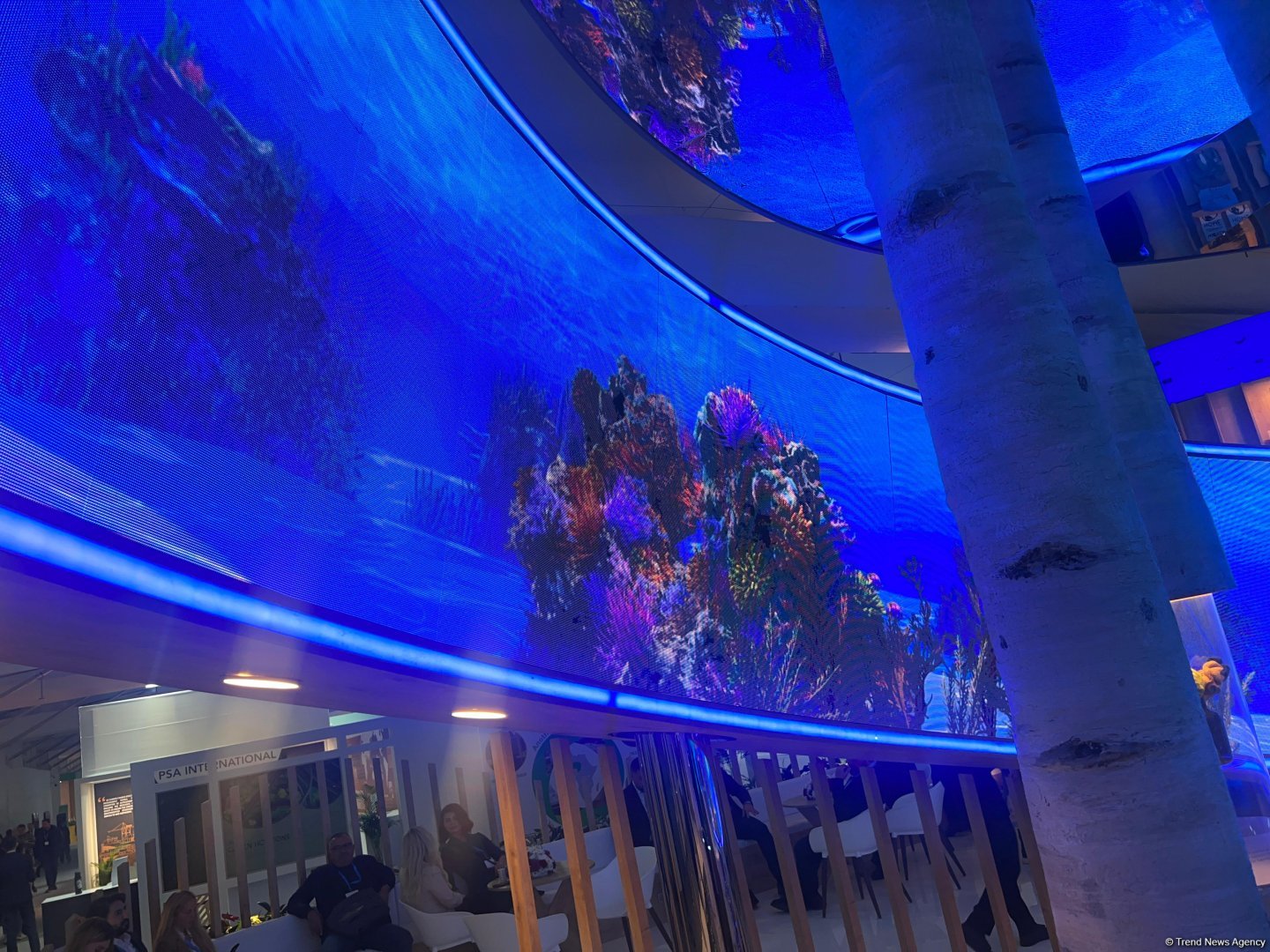 Türkiye's pavilion opening ceremony takes place at COP29 in Azerbaijan (PHOTO)