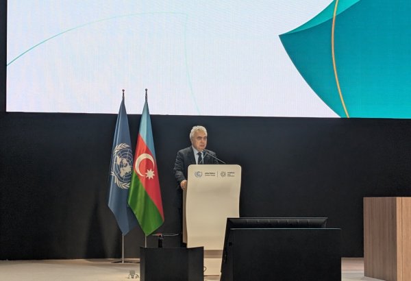 IEA to reissue country-specific statistics on actual emissions in March - official