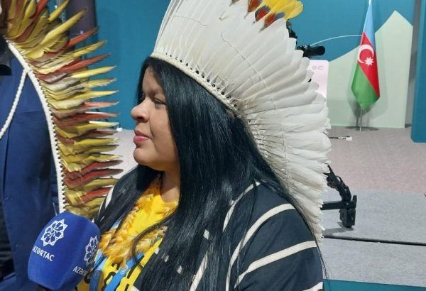Azerbaijan's COP29 organization shines truly remarkable - Brazilian minister