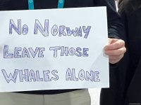 Azerbaijan's COP29 protests deep-sea mining and whale hunting in Norway (PHOTO/VIDEO)