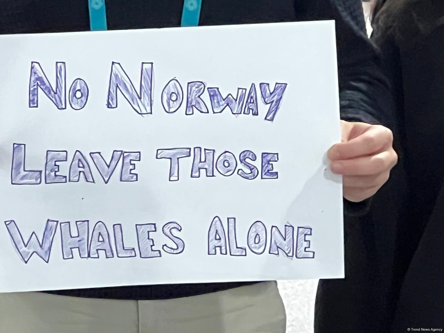 Azerbaijan's COP29 protests deep-sea mining and whale hunting in Norway (PHOTO/VIDEO)