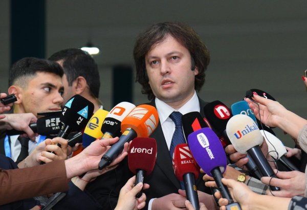 Georgian President has to step down - PM