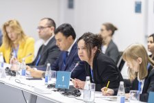 COP29 stages panel discussions on "Land Degradation and Climate Change" (PHOTO)