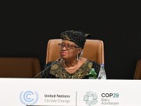 High-Level session held with World Economic Forum at COP29 (PHOTO)
