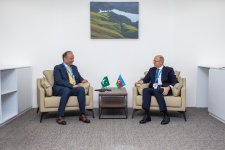 Azerbaijan's energy minister holds series of meetings during COP29 event (PHOTO)