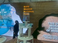 Baku Seaside National Park unveils its pavilion at COP29 (PHOTOS)