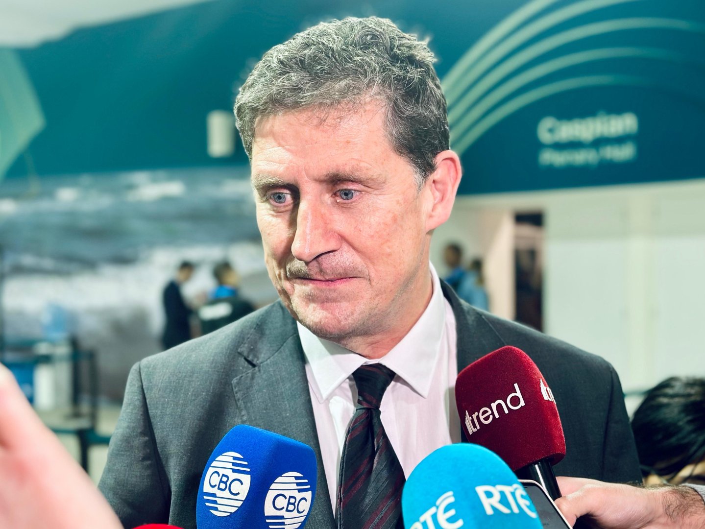 Azerbaijan positioned to optimize its renewable energy export potential - Irish minister