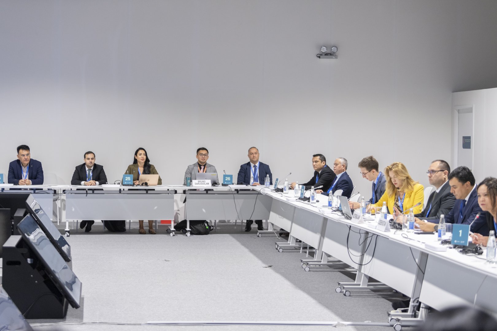 COP29 stages panel discussions on "Land Degradation and Climate Change" (PHOTO)