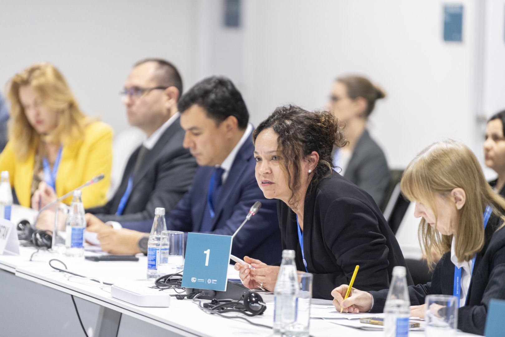 COP29 stages panel discussions on "Land Degradation and Climate Change" (PHOTO)