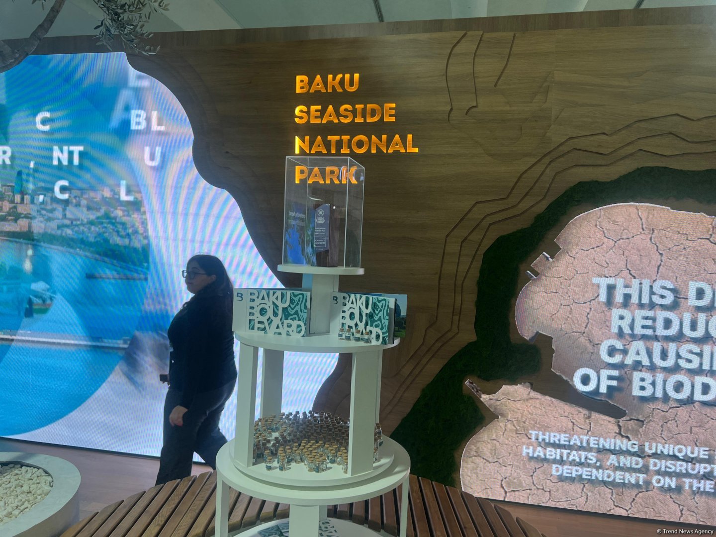 Baku Seaside National Park unveils its pavilion at COP29 (PHOTOS)