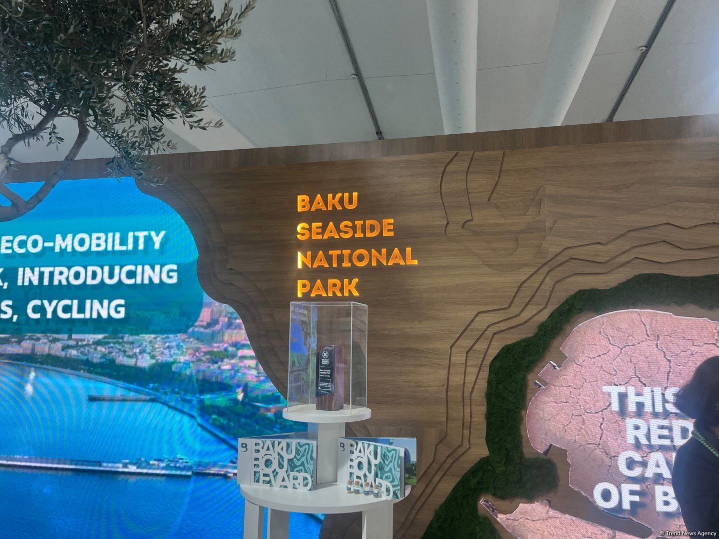 Baku Seaside National Park unveils its pavilion at COP29 (PHOTOS)