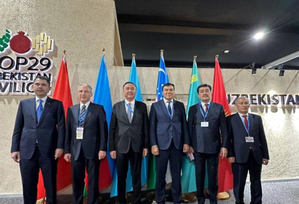 OTS ministers approve Ecology Declaration at COP29 in Azerbaijan (PHOTO)