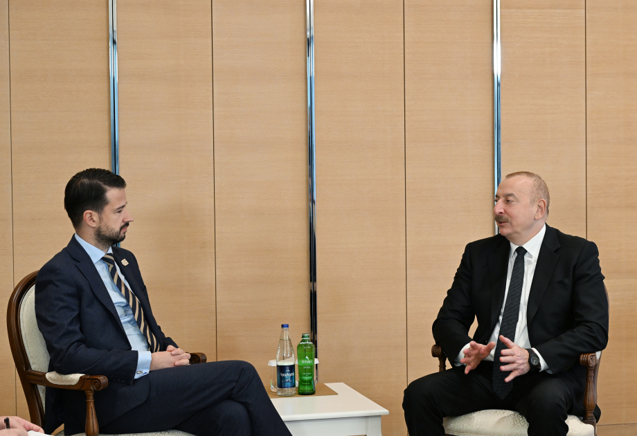 President Ilham Aliyev meets with President of Montenegro (PHOTO/VIDEO)