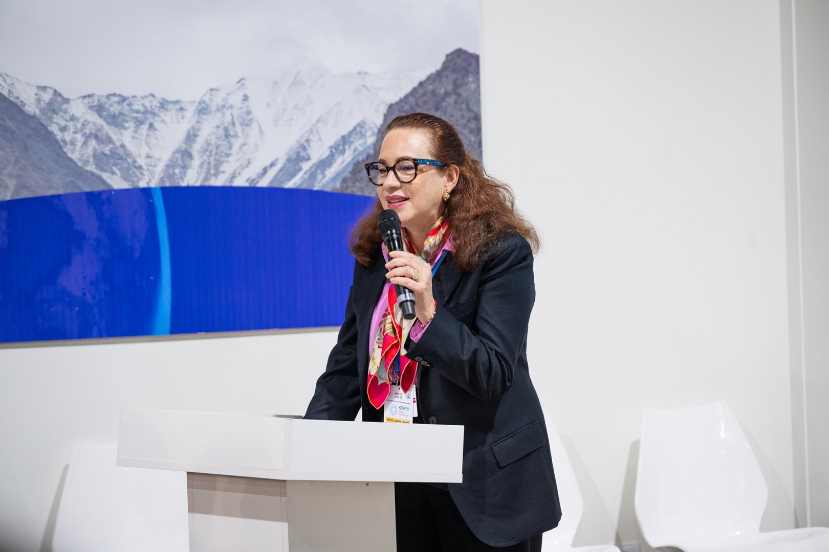 Inaugural high-level session on green digital action takes place at Baku's COP29 (PHOTO)