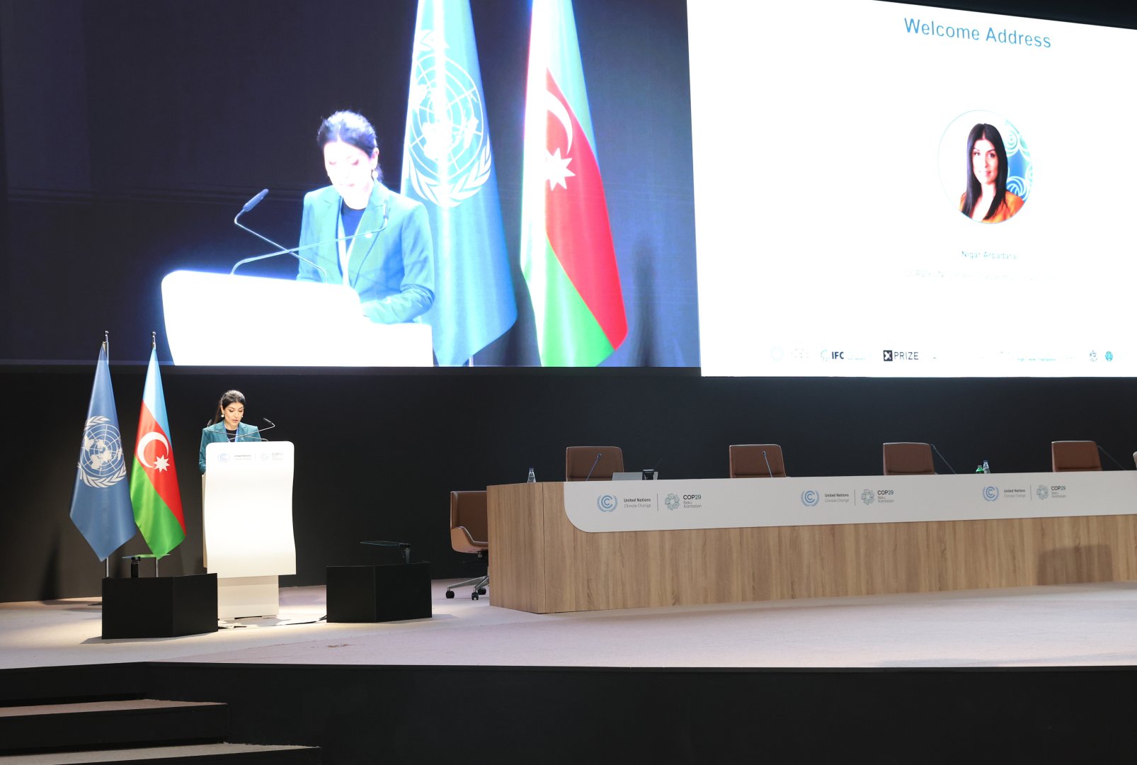 Business strategies to combat climate change discussed at COP29 in Baku (PHOTO)