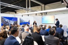 Inaugural high-level session on green digital action takes place at Baku's COP29 (PHOTO)