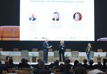 Business strategies to combat climate change discussed at COP29 in Baku (PHOTO)