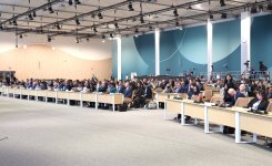 Business strategies to combat climate change discussed at COP29 in Baku (PHOTO)
