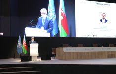 Business strategies to combat climate change discussed at COP29 in Baku (PHOTO)
