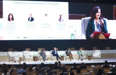Business strategies to combat climate change discussed at COP29 in Baku (PHOTO)
