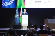 Business strategies to combat climate change discussed at COP29 in Baku (PHOTO)
