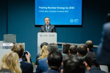 Azerbaijan aims to take leading position in renewable energy - deputy minister (PHOTO)