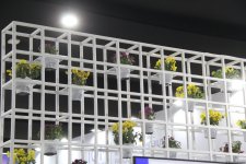Cultural diversity at COP29 in Baku – Creative pavilions, carpets, expositions (PHOTO)