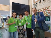 Cultural diversity at COP29 in Baku – Creative pavilions, carpets, expositions (PHOTO)