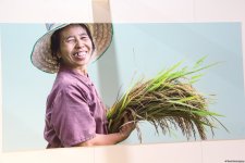 Cultural diversity at COP29 in Baku – Creative pavilions, carpets, expositions (PHOTO)