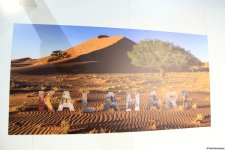 Cultural diversity at COP29 in Baku – Creative pavilions, carpets, expositions (PHOTO)