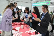 Cultural diversity at COP29 in Baku – Creative pavilions, carpets, expositions (PHOTO)