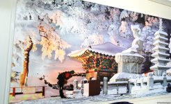 Cultural diversity at COP29 in Baku – Creative pavilions, carpets, expositions (PHOTO)