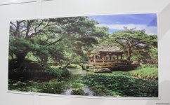 Cultural diversity at COP29 in Baku – Creative pavilions, carpets, expositions (PHOTO)