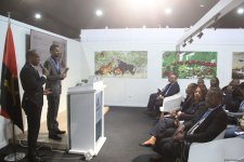 Cultural diversity at COP29 in Baku – Creative pavilions, carpets, expositions (PHOTO)