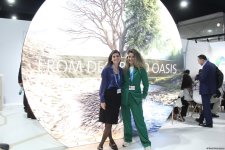 Cultural diversity at COP29 in Baku – Creative pavilions, carpets, expositions (PHOTO)