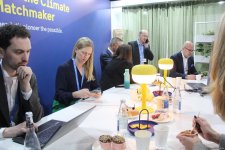 Cultural diversity at COP29 in Baku – Creative pavilions, carpets, expositions (PHOTO)