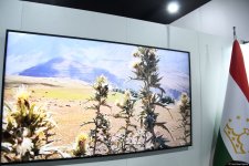 Cultural diversity at COP29 in Baku – Creative pavilions, carpets, expositions (PHOTO)