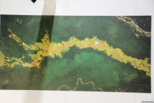 Cultural diversity at COP29 in Baku – Creative pavilions, carpets, expositions (PHOTO)