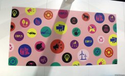 Cultural diversity at COP29 in Baku – Creative pavilions, carpets, expositions (PHOTO)