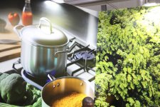 Cultural diversity at COP29 in Baku – Creative pavilions, carpets, expositions (PHOTO)