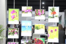 Cultural diversity at COP29 in Baku – Creative pavilions, carpets, expositions (PHOTO)