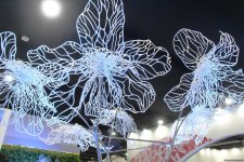 Cultural diversity at COP29 in Baku – Creative pavilions, carpets, expositions (PHOTO)