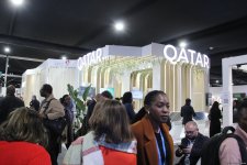 Cultural diversity at COP29 in Baku – Creative pavilions, carpets, expositions (PHOTO)