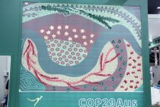 Cultural diversity at COP29 in Baku – Creative pavilions, carpets, expositions (PHOTO)