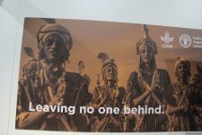 Cultural diversity at COP29 in Baku – Creative pavilions, carpets, expositions (PHOTO)